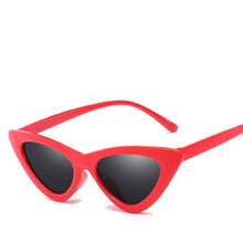 Load image into Gallery viewer, Popular Sunglasses